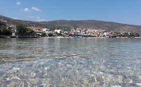Zavitsa